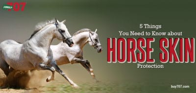 horse skin protection