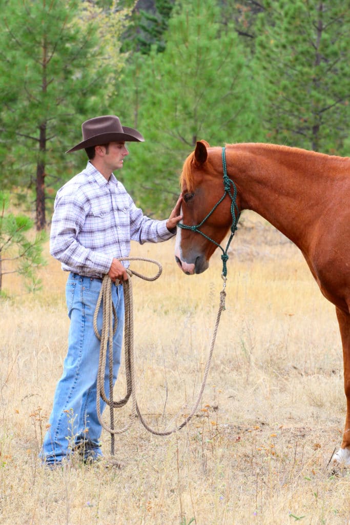 How to Calm Your Anxious and Nervous Horses buy707 Blog