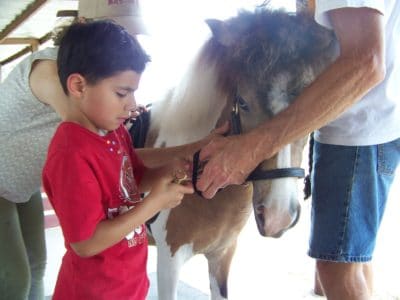 PATH INTL APPROVED IMAGE 3 Equine-assisted Therapy