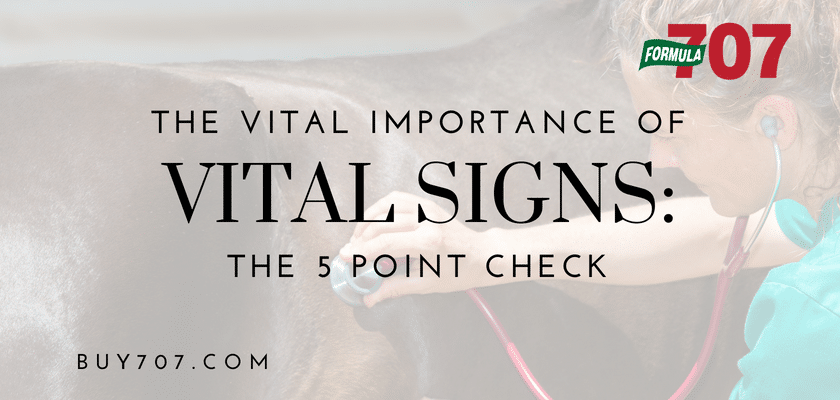 vital-importance-of-vital-signs-buy707-buy707