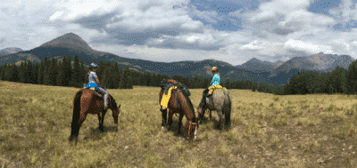 The Burro trails in Colorado top out at 10,500 ft in elevation. Perfect for riding horses in the mountains.