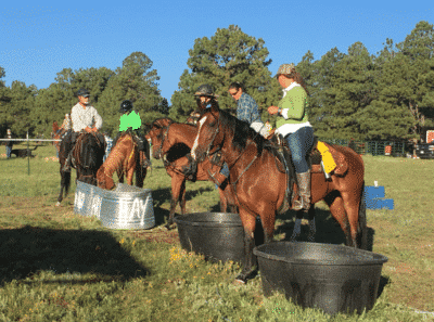 Endurance Riders Focusing on Hydrating Horses